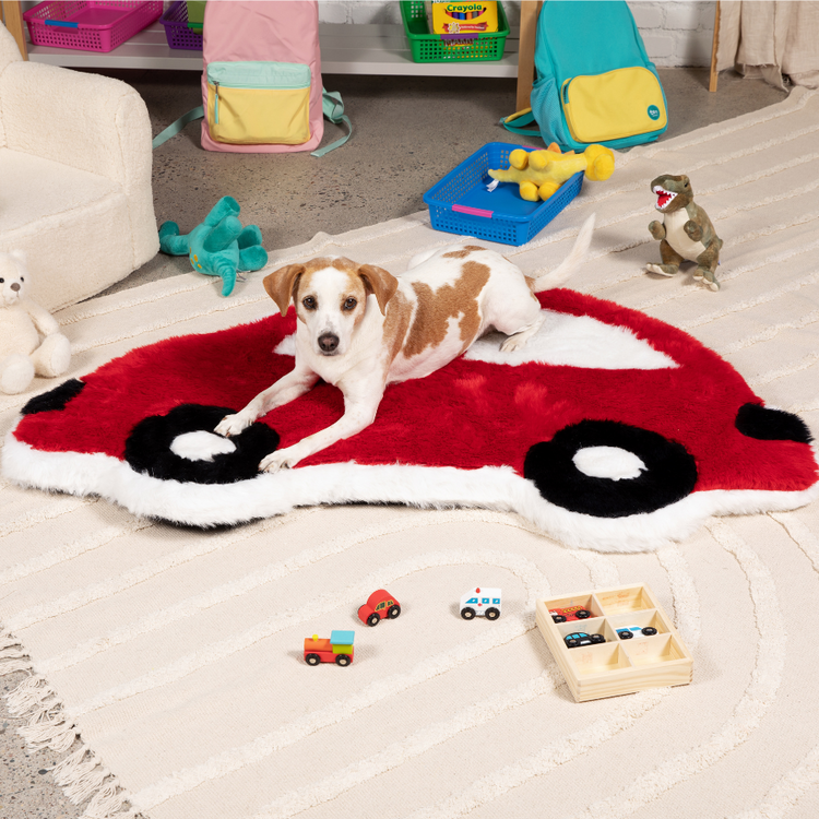 FREE Paw Kids PupRug™ Memory Foam Dog Bed with $150+ Purchase