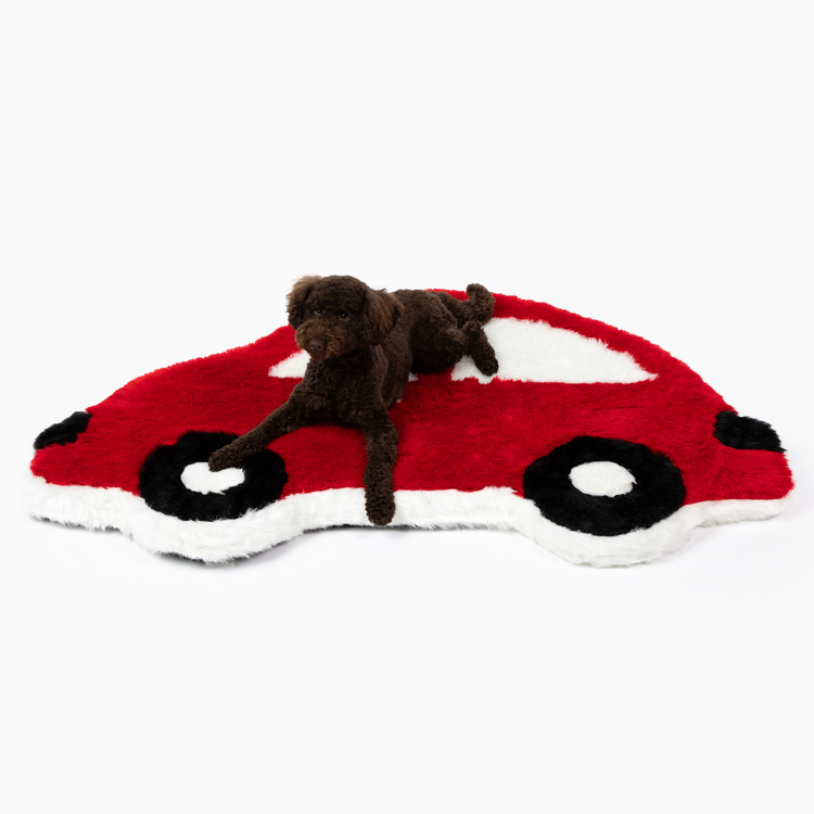 FREE Paw Kids PupRug™ Memory Foam Dog Bed with $150+ Purchase