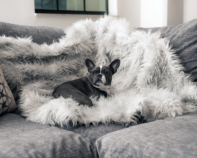 Luxurious Grey Faux Fur Blanket