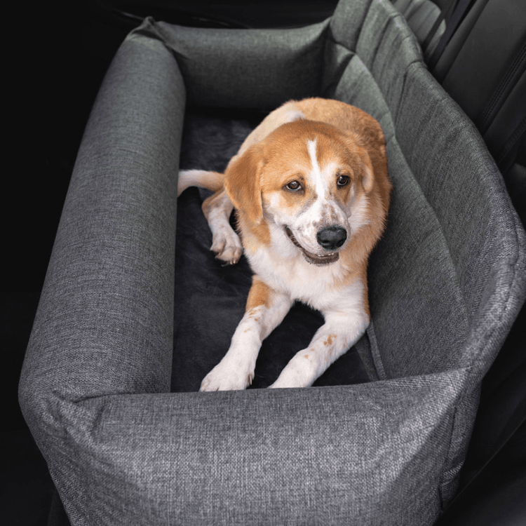 PupProtector™ Memory Foam Car Dog Bed