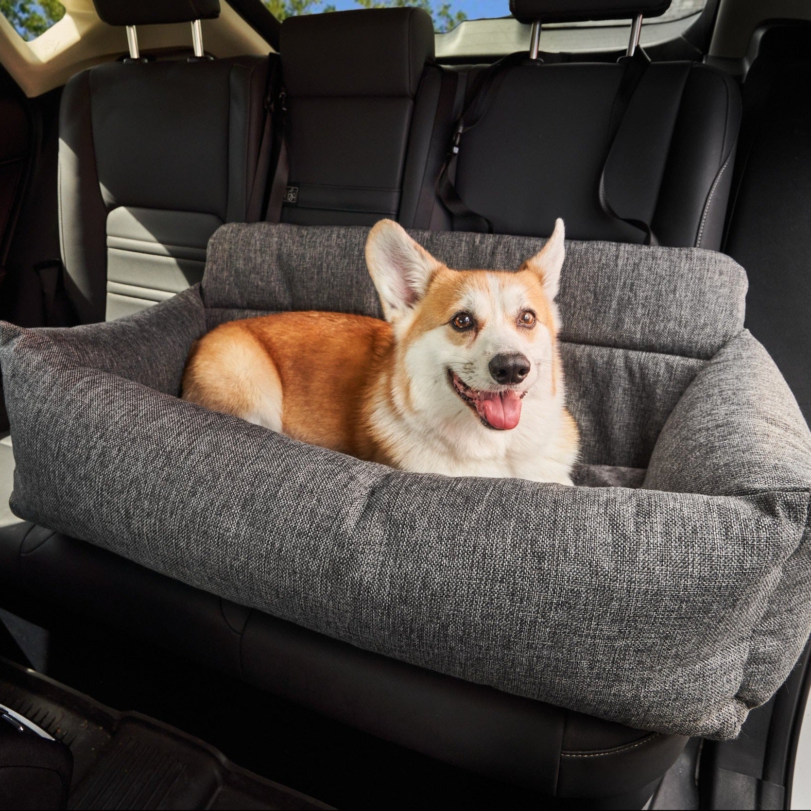 Dog car shop seat large breed