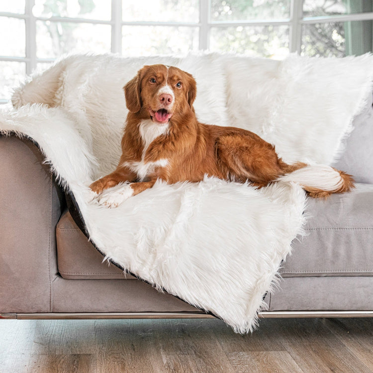 BOGO 50% OFF PupProtector™ Waterproof Throw Blankets