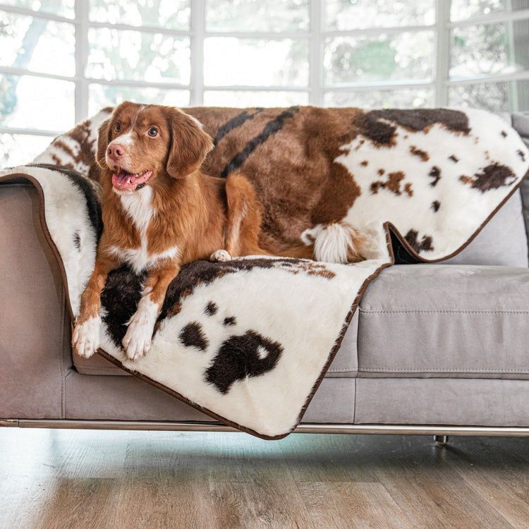 BOGO 50% OFF PupProtector™ Waterproof Throw Blankets