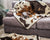 French Bulldog sleeping on Brown Faux Cowhide Blanket