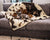 French Bulldog on Brown Faux Cowhide Blanket