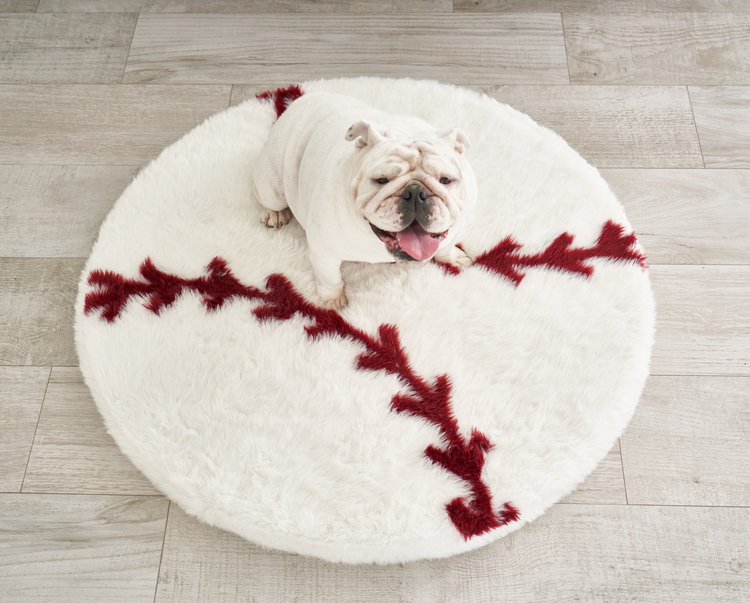 FREE Paw Kids PupRug™ Memory Foam Dog Bed with $150+ Purchase