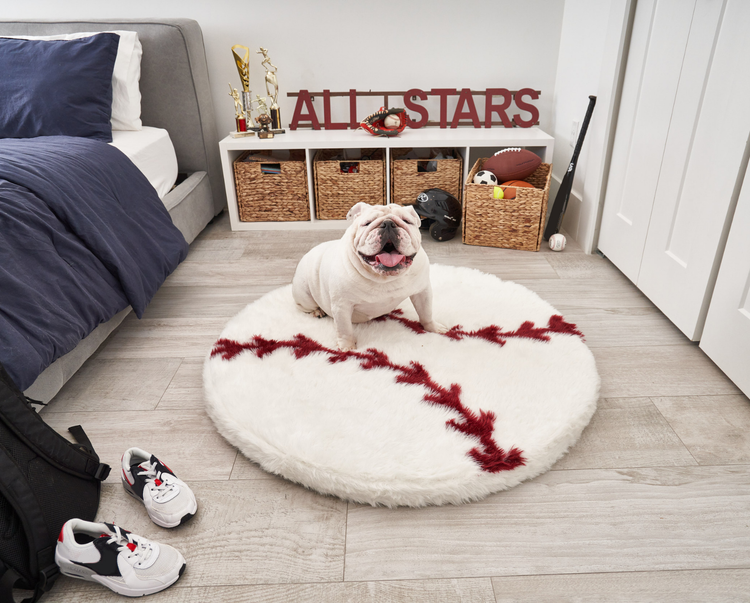 FREE Paw Kids PupRug™ Memory Foam Dog Bed with $150+ Purchase