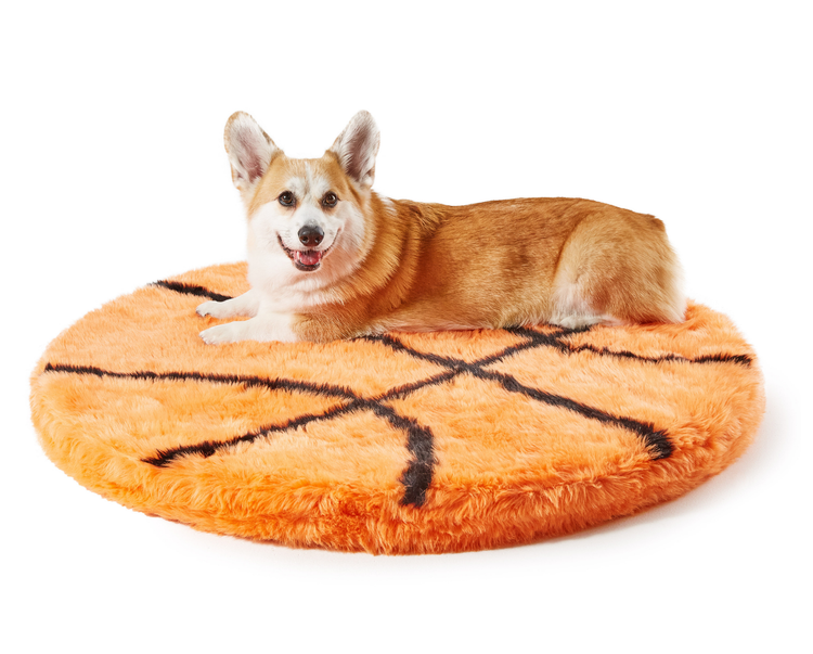 FREE Paw Kids PupRug™ Memory Foam Dog Bed with $150+ Purchase