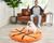 FREE Paw Kids PupRug™ Memory Foam Dog Bed with $150+ Purchase