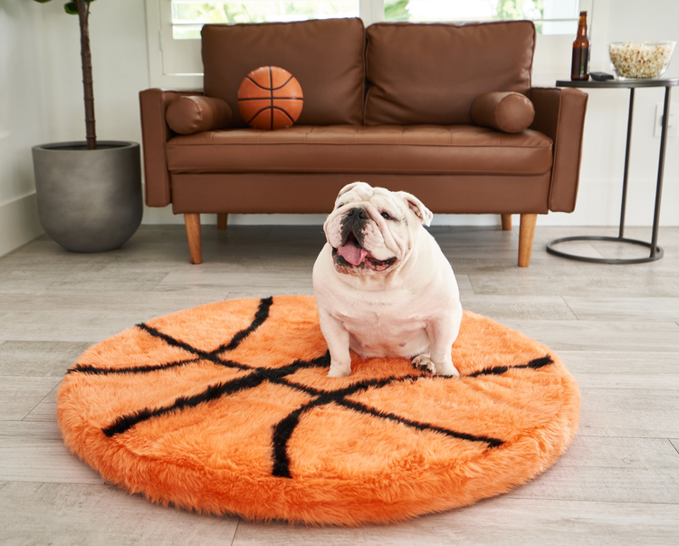 FREE Paw Kids PupRug™ Memory Foam Dog Bed with $150+ Purchase