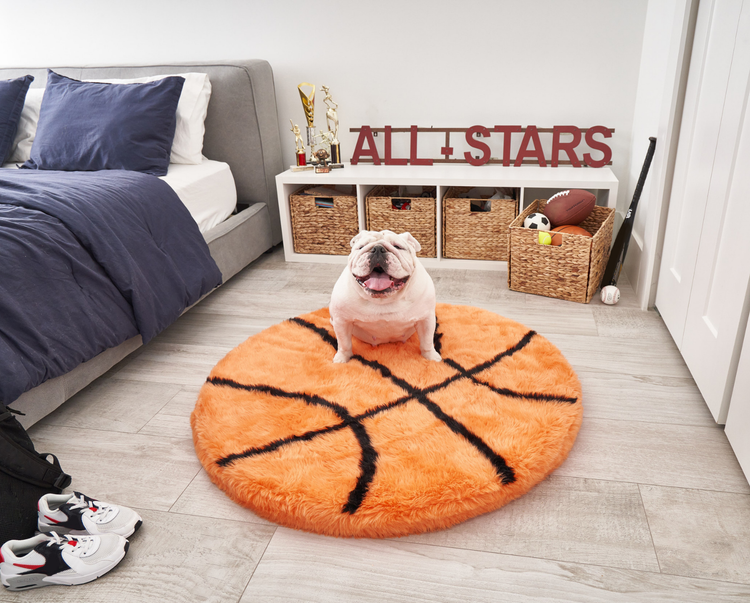 FREE Paw Kids PupRug™ Memory Foam Dog Bed with $150+ Purchase