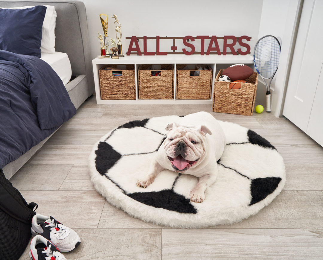 bulldog on soccer ball dog bed in kids' room