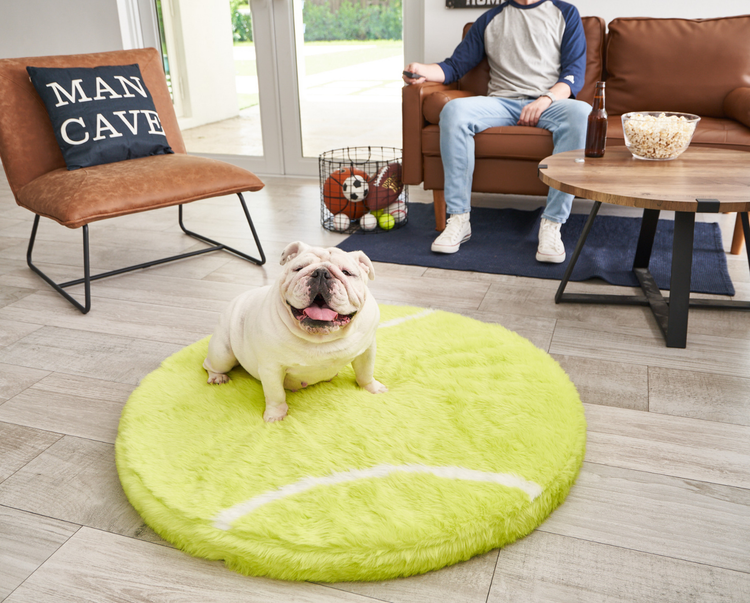 FREE Paw Kids PupRug™ Memory Foam Dog Bed with $150+ Purchase