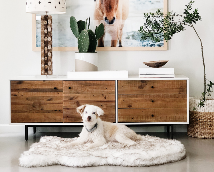 White dog on white puprug dog bed