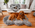 PupRug™ Bundle - Orthopedic Bed Curve, Charcoal Grey + Matching Waterproof Blanket