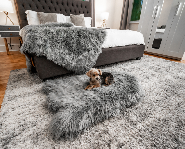 PupRug™ Bundle - Orthopedic Bed Curve, Charcoal Grey + Matching Waterproof Blanket