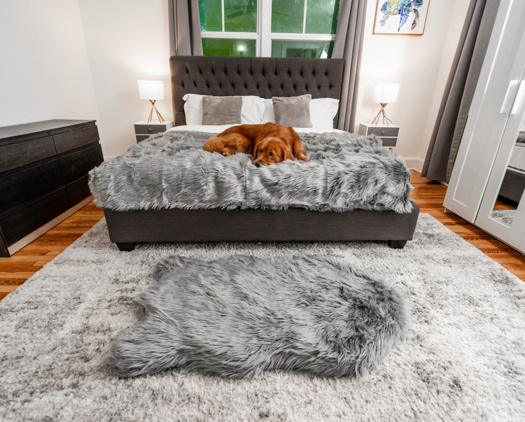 PupRug™ Bundle - Orthopedic Bed Curve, Charcoal Grey + Matching Waterproof Blanket