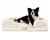 black and white dog on white bolster dog bed