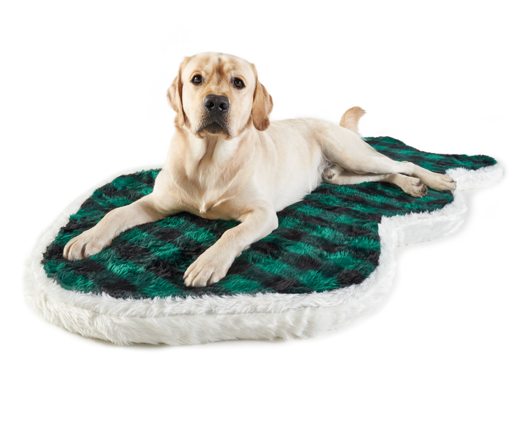 Labrador Retriever on Green Plaid Bed