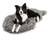 Border Collie Dog resting on charcoal grey luxurious memory foam pet bed rug