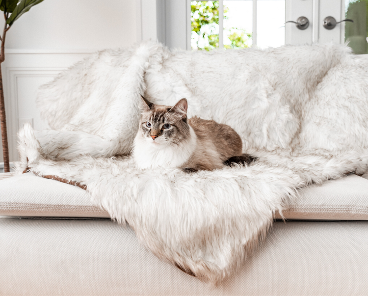 Cat curling up on luxurious faux fur and anti-scratch pet blanket