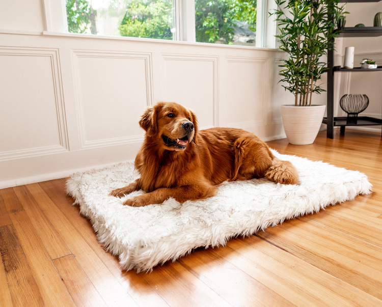 Golden Retriever smiling on Rectangle White Faux Fur Orthopedic Dog Bed