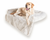 Labrador Retriever Dog resting on Polar White Couch Lounger