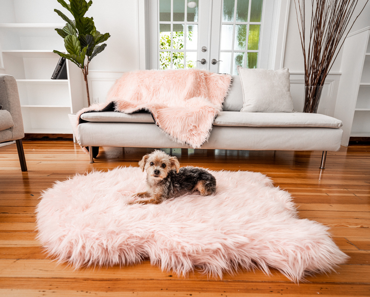 PupRug™ Bundle - Orthopedic Bed Curve, Blush Pink + Matching Waterproof Blanket