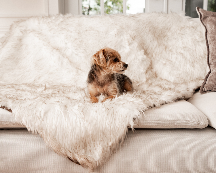 PupRug™ Bundle - Orthopedic Bed Rectangle, White + Matching Waterproof Blanket