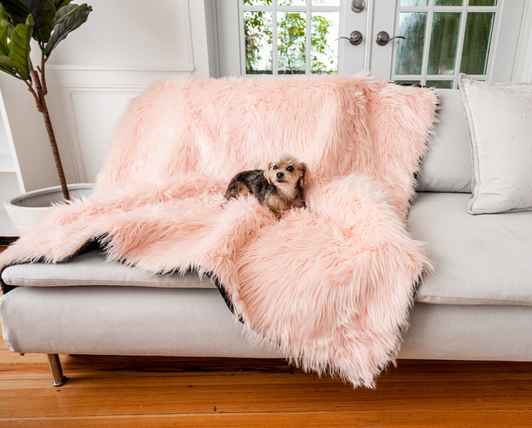 PupRug™ Bundle - Orthopedic Bed Curve, Blush Pink + Matching Waterproof Blanket