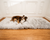 PupRug™ Runner Faux Fur Memory Foam Dog Bed - Rectangle Grey