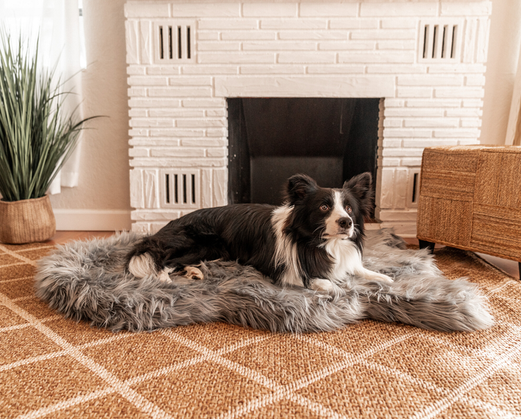 Border Collie resting on faux fur charcoal grey memory foam dog bed in front of fireplace