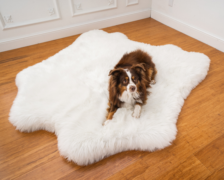 Products PupRug™ Animal Print Memory Foam Dog Bed Cover - Polar Bear Faux Hide (Bed Not Included)