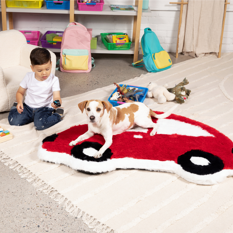 PupRug™ Memory Foam Dog Bed & Play Mat - Car