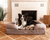 bolster dog bed with cheetah print topper in living room with Border Collie