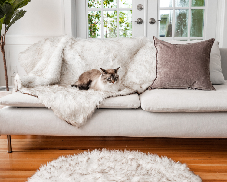 Cat posing on white faux fur throw blanket on white couch