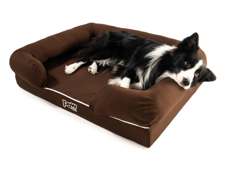 black and white dog on brown bolster dog bed