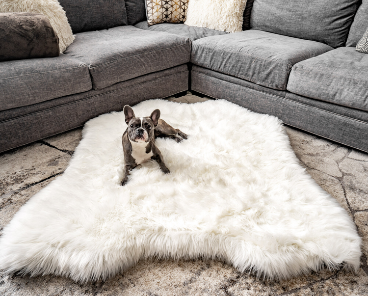 Products PupRug™ Animal Print Memory Foam Dog Bed Cover - Polar Bear Faux Hide (Bed Not Included)