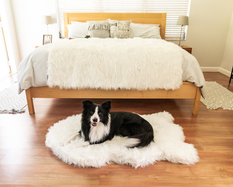 PupRug™ Bundle - Orthopedic Bed Curve, Polar White + Matching Waterproof Blanket