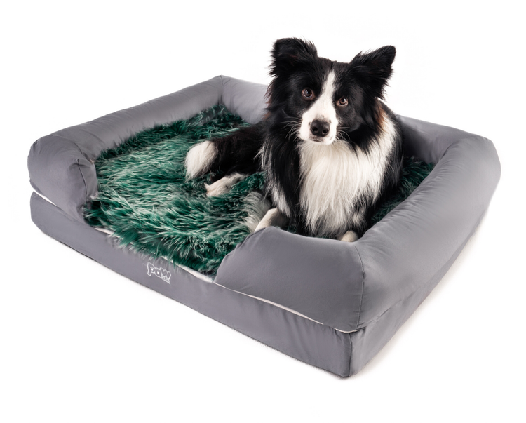 Border Collie on Faux Fur Green Topper