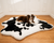 Aussie on Black Cowhide Bed