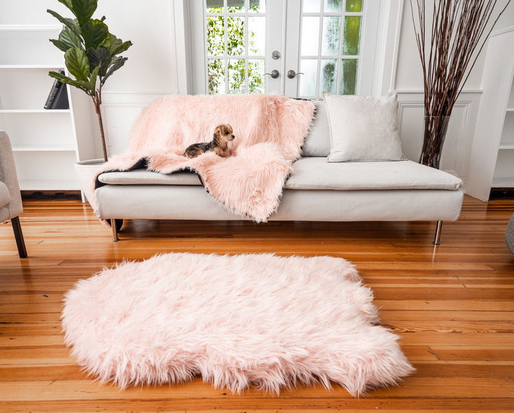 Yorkie resting paws on blush pink faux fur blanket with matching bed on wood floor