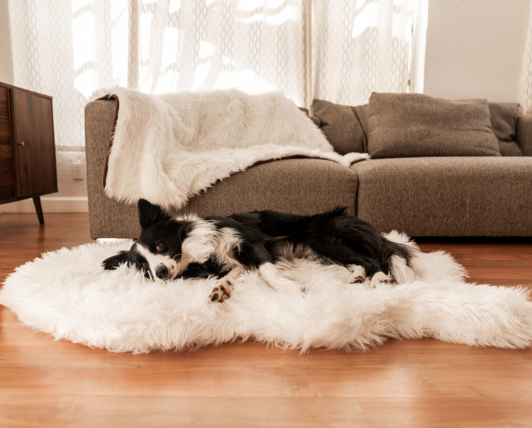 PupRug™ Bundle - Orthopedic Bed Curve, Polar White + Matching Waterproof Blanket