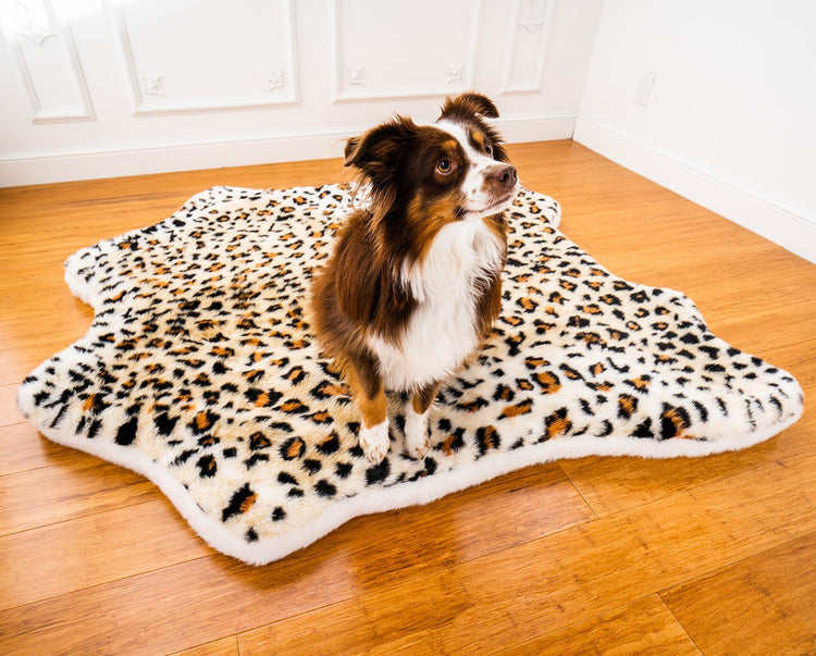 Aussie on washable fancy faux fur xxl dog bed 