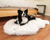 Border Collie dog resting paws on polar white faux fur memory foam dog bed