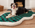 Australian Shepherd Dog resting on Green Buffalo Plaid Bed