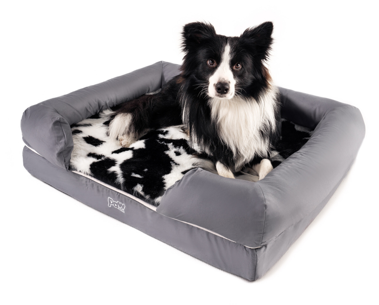 Border Collie on Black Faux Cowhide Topper