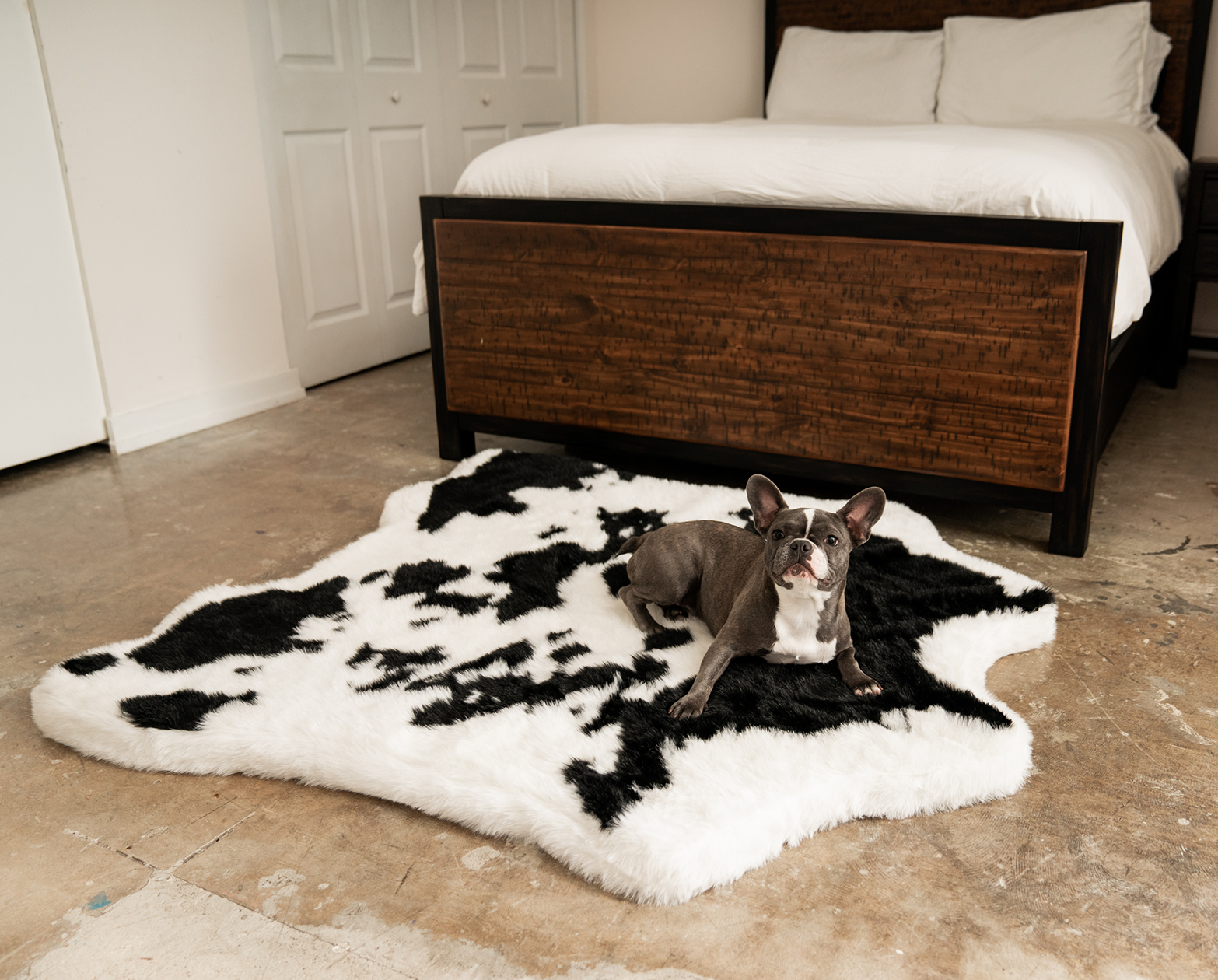Cow print dog bed shop