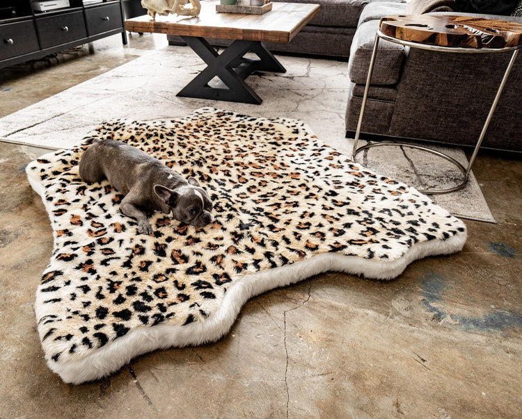 French Bulldog on Cheetah Faux Bed