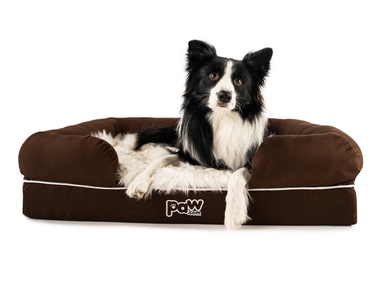 black and white dog on brown bolster dog bed with white faux fur topper